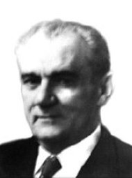 José Francisco Bias Fortes